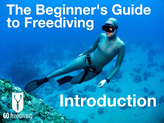 beginner's guide to freediving