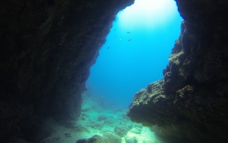 Blue hole freediving in lanzarote