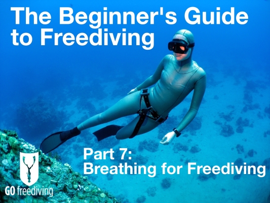 Beginners guide to freediving Breathing for Freediving