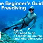 Beginners guide to freediving Do I need to do a Freediving Course and who offers courses