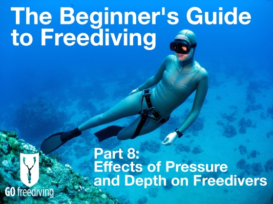 Beginners guide to freediving Effects of Pressure and Depth on Freedivers