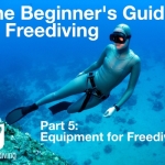 Beginners guide to freediving Equipment for Freediving