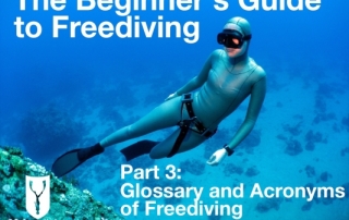 Beginners guide to freediving Glossary of Freediving