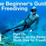 Beginners guide to freediving How to do the perfect duck dive for freediving
