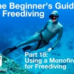 Beginners guide to freediving Using a monofin for Freediving