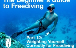Beginners guide to freediving Weighting yourself correctly for Freediving