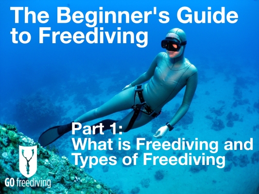 Beginners guide to freediving what is freediving