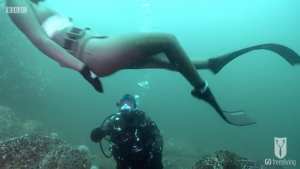 BBC Britain's Secret Seas, the power of the East, Emma Farrell freediving with Paul Rose on Scuba in the Farne Islands 3