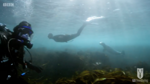 BBC Britain's Secret Seas, the power of the East, Emma Farrell freediving with seals and Paul Rose on Scuab in the Farne Islands 5