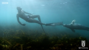 BBC Britain's Secret Seas, the power of the East, Emma Farrell freediving with seals in the Farne Islands 3
