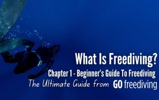 Guide 1 Go Freediving