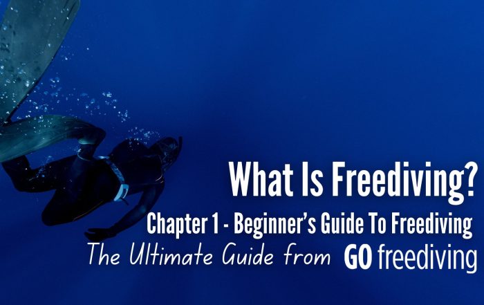 Guide 1 Go Freediving