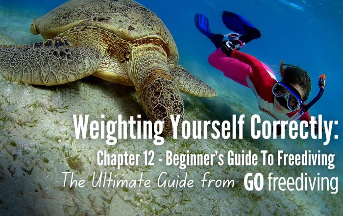 Guide 12 Go Freediving