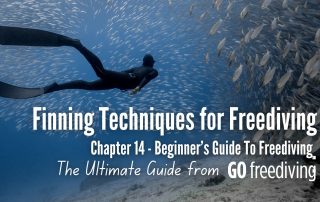 Guide 14 Go Freediving