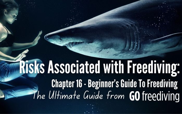 Guide 16 Go Freediving