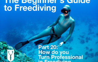 The Beginner's Guide to Freediving How to Turn Professional in Freediving