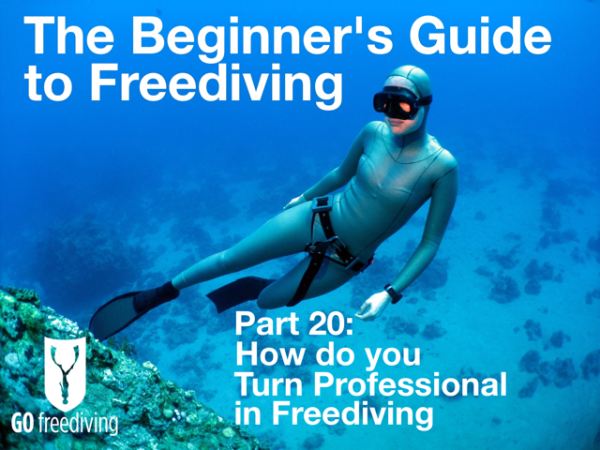 The Beginner's Guide to Freediving How to Turn Professional in Freediving