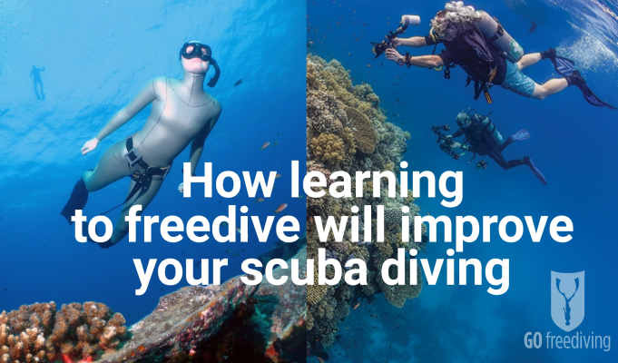 Learn to freedive with Go Freediving then learn to scuba dive