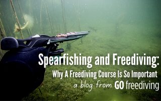 Spearfishing Go Freediving