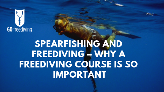 Spearfishing and Freediving – Why a Freediving Course is So Important