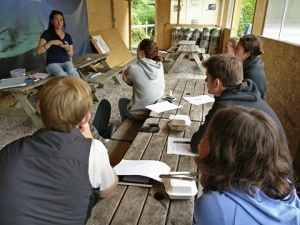 go freedving - summer freediving courses in the uk - Class photo 1