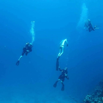 Liveaboard diving holiday on the Red Sea - Underwater