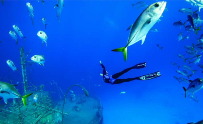 One Breath A Reflection on Freediving Emma Farrell 1