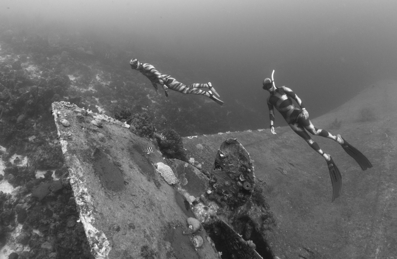 Go freediving - underwater photography - hilma hooker bonaire