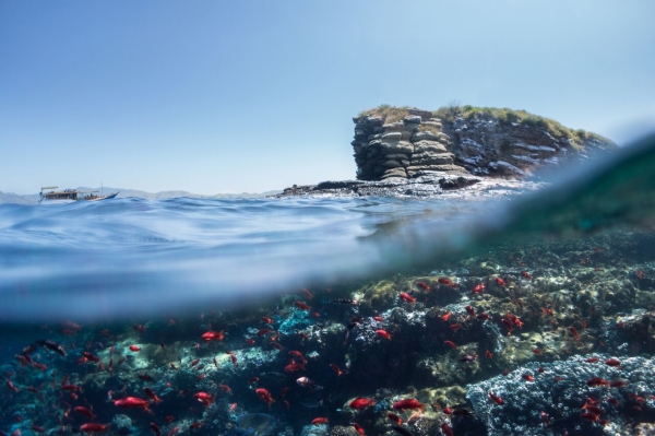 go freediving - freediving and photography - lance sagar - Batu Bolong