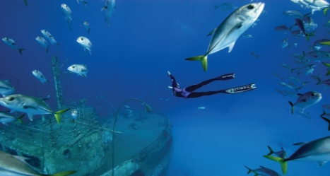 go freediving - plastic pollution and freediving in yeovil talk - emma and wreck