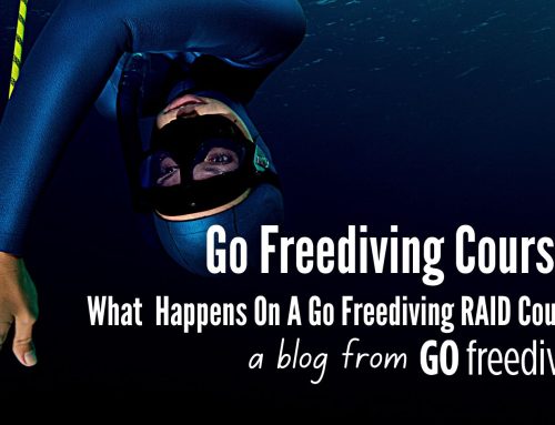 What Happens On A Freediving Course?