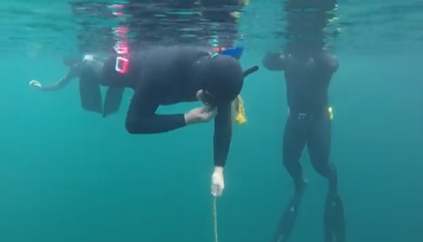 go freediving - learn to freedive safely - open water3