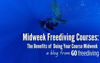 midweek courses Go Freediving