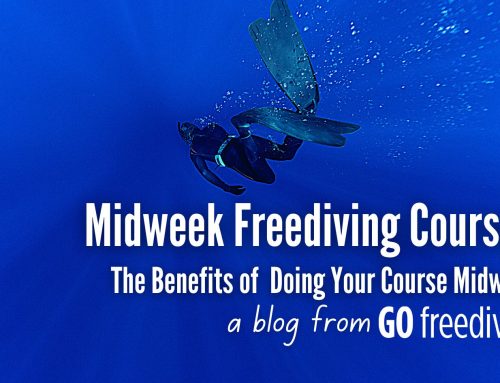Midweek Freediving Courses With Go Freediving