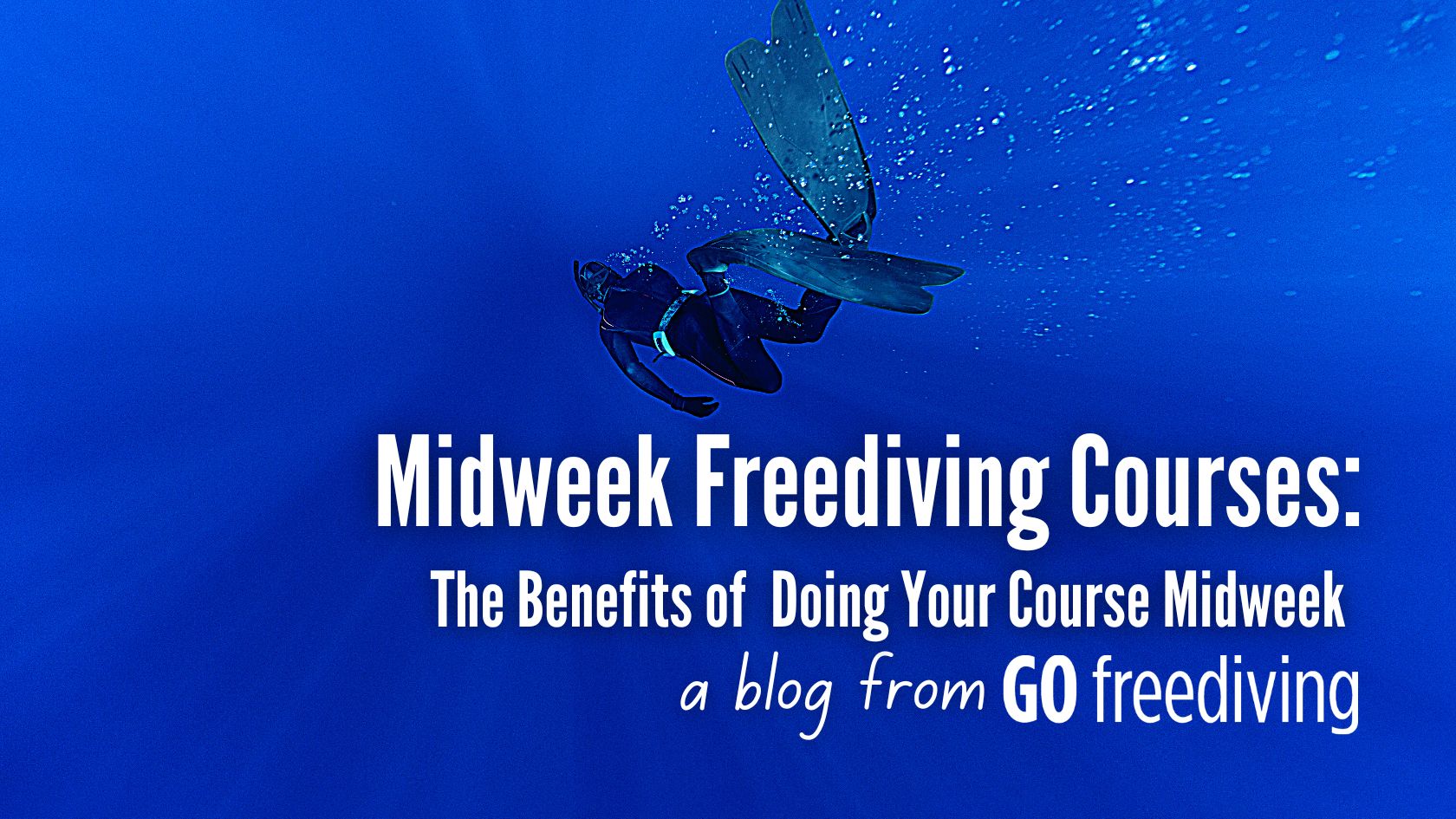 midweek courses Go Freediving