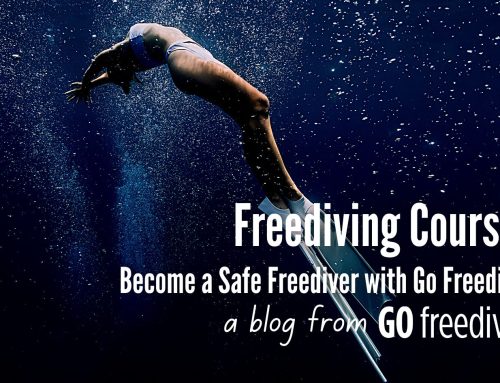 Freediving Courses with Go Freediving