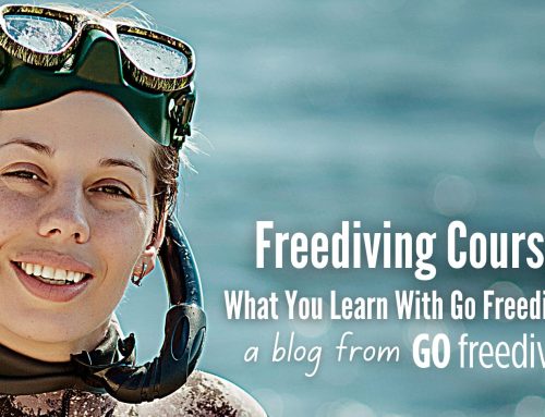 What Do You Learn On A Freediving Course?