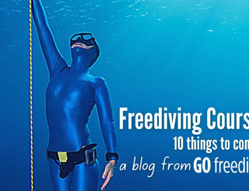 Ten things to consider on a freediving course