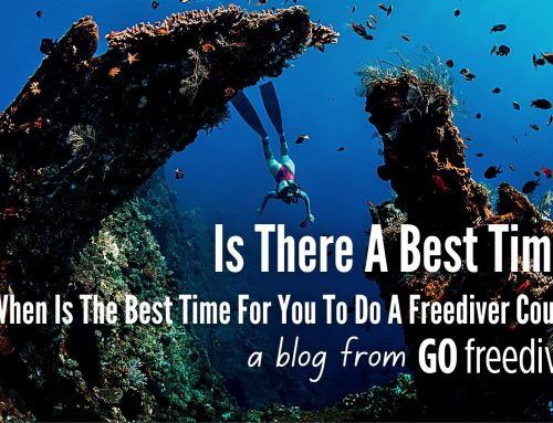 When Is The Best Time To Do A Freediving Course?