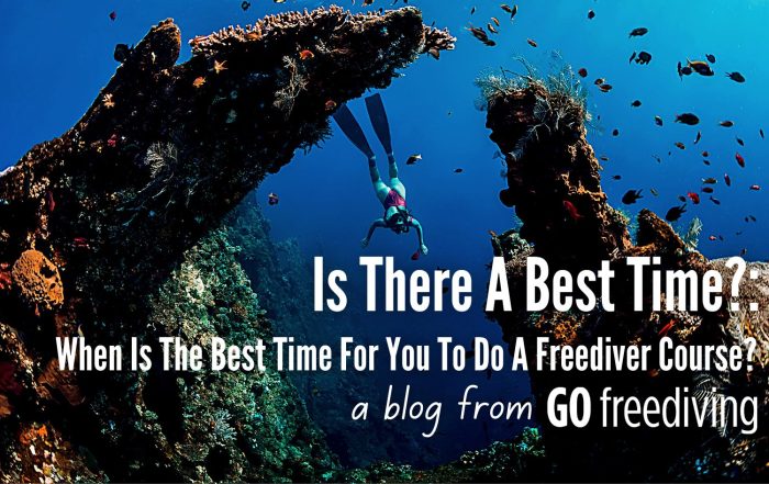 best time Go Freediving