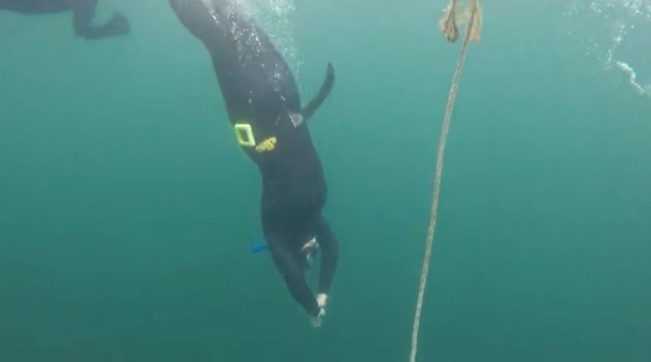 consider on a freediving course -19