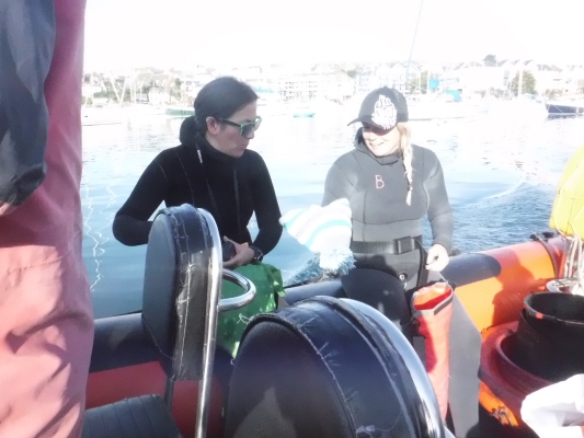 freediving with sharks - boat2