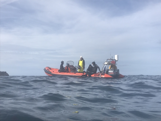 freediving with sharks - boat5