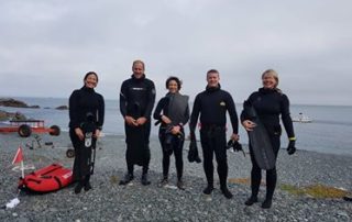 freediving with sharks -coastal