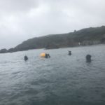 freediving with sharks - coastal freediving2