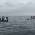 freediving with sharks - coastal freediving3