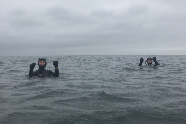 freediving with sharks - coastal freediving3