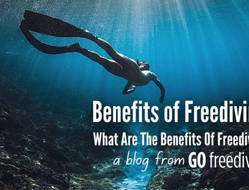 What are the Benefits of Freediving?