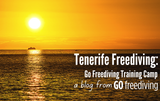 Tenerife Go Freediving