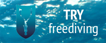 Try Freediving Course
